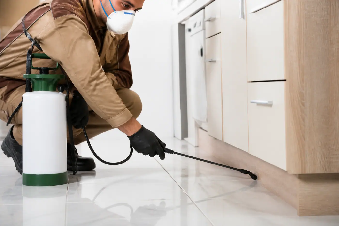 Professional Pest Control Gel